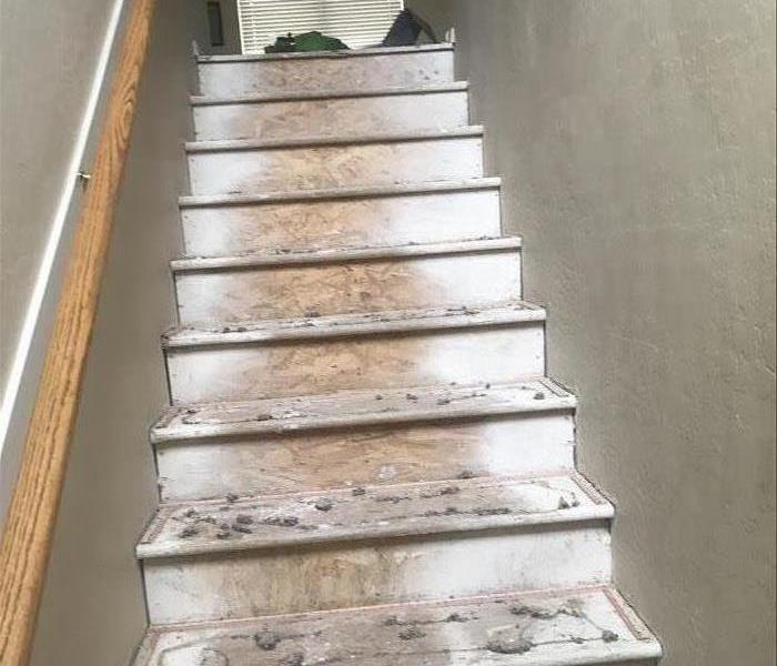 Residential Stairs with no carpet