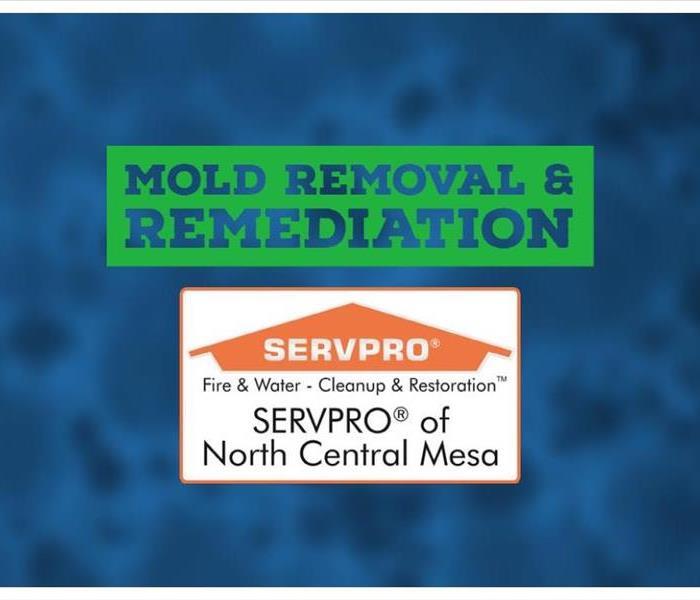 Text: Mold Removal and Remediation with SERVPRO of North Central Mesa Logo with blurred picture of a mold spore in background