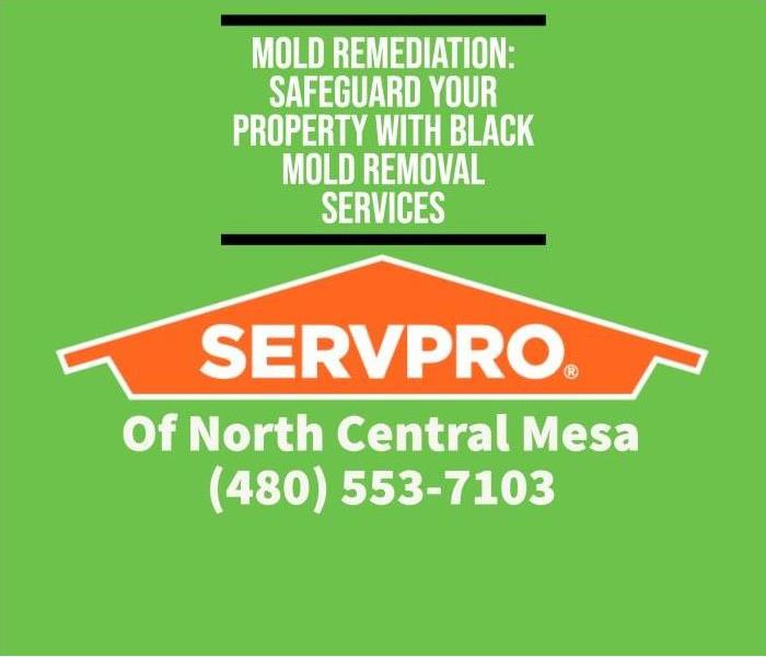 Blog Post Title with SERVPRO Logo, Name, and Phone number. Colors SERVPRO Green, Orange and white lettering