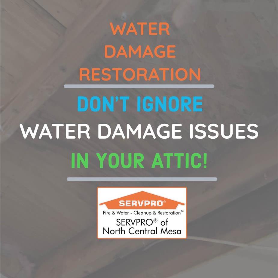Water Damage - Don't  ignore water damage in your attic!