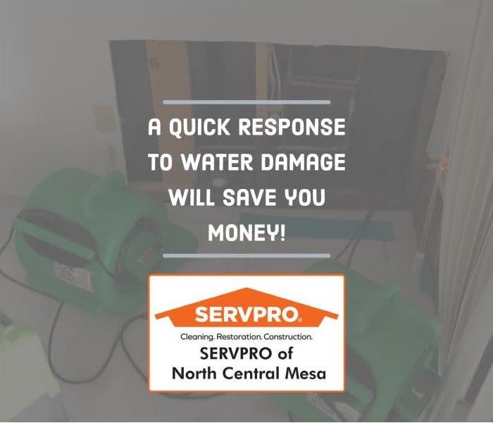 text, "how a quick response to water damage can save you money"