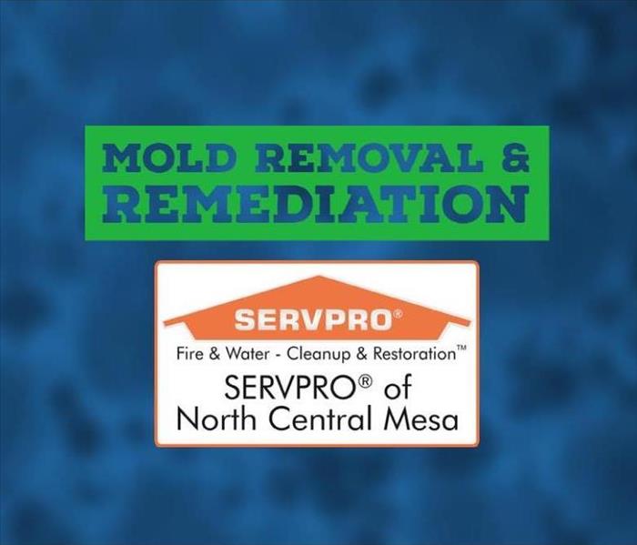 SERVPRO of North Central Mesa Logo with faded mold spore in the background